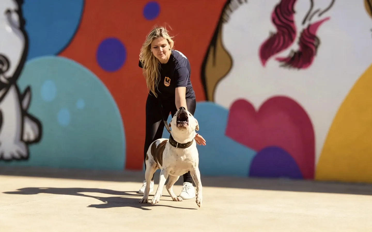Vanessa, da Pet K-9, em trabalho de guarda e proteção com um cão